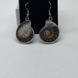 Silver Fossilised Drop Earrings