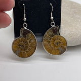 Silver Fossilised Drop Earrings