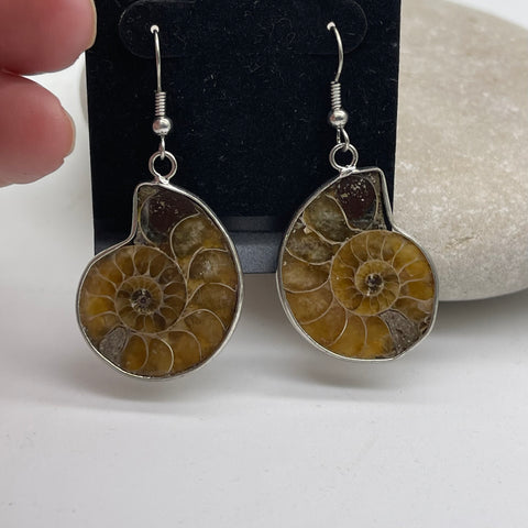 Silver Fossilised Drop Earrings