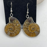 Silver Fossilised Drop Earrings