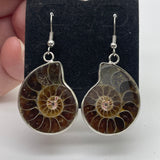 Silver Fossilised Drop Earrings
