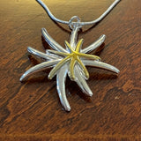 Double Star Burst Necklace
