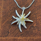 Double Star Burst Necklace