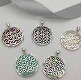 Shell with Latticed Indian Design