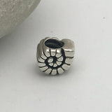 European large hole bead charm