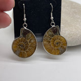 Fossilised Drop Earrings