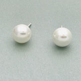 Shell Pearl Stud Earrings