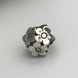 European large hole bead charm